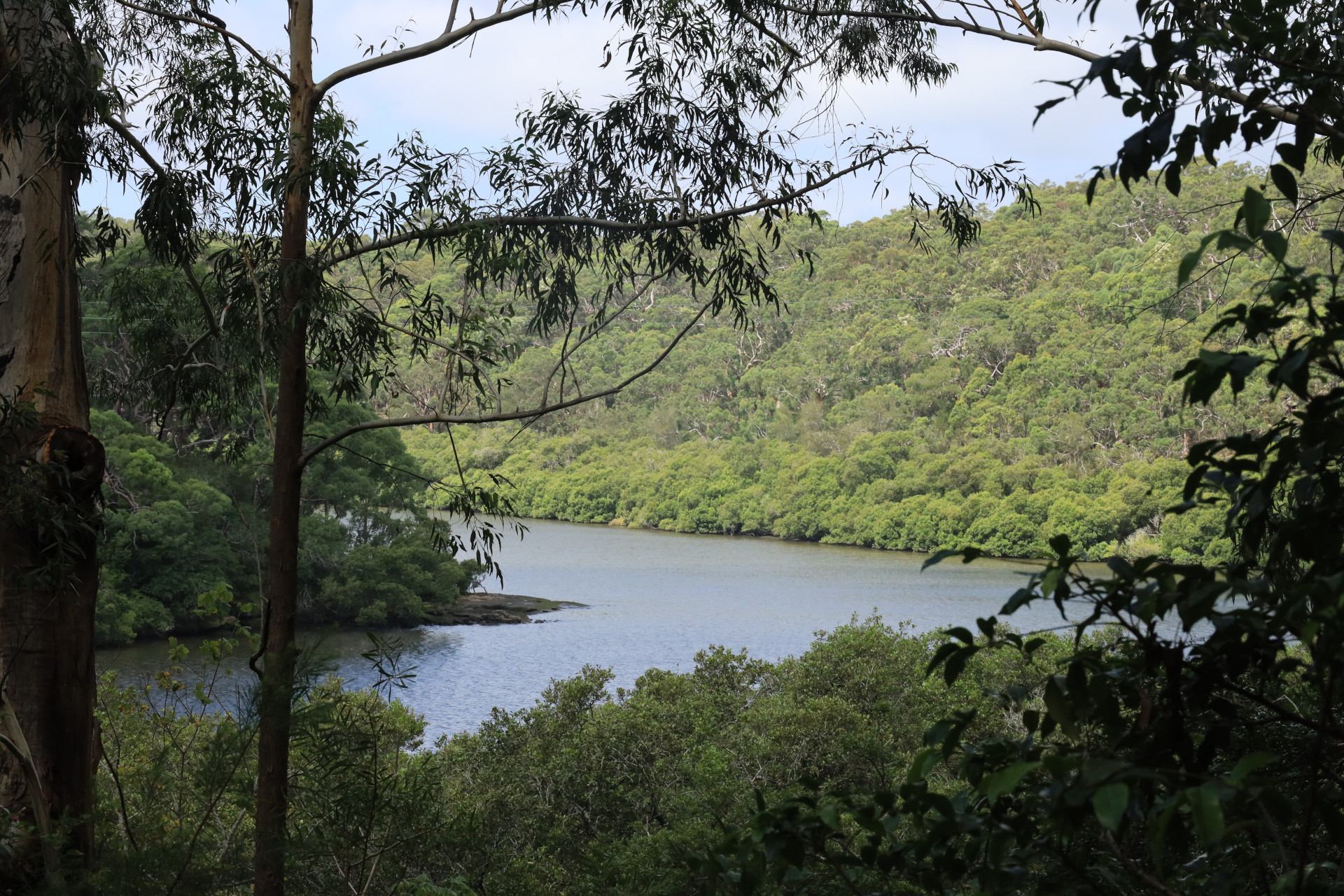 Chivers Hill to Gannons Park to Heinrich Reserve to Chivers Hill
