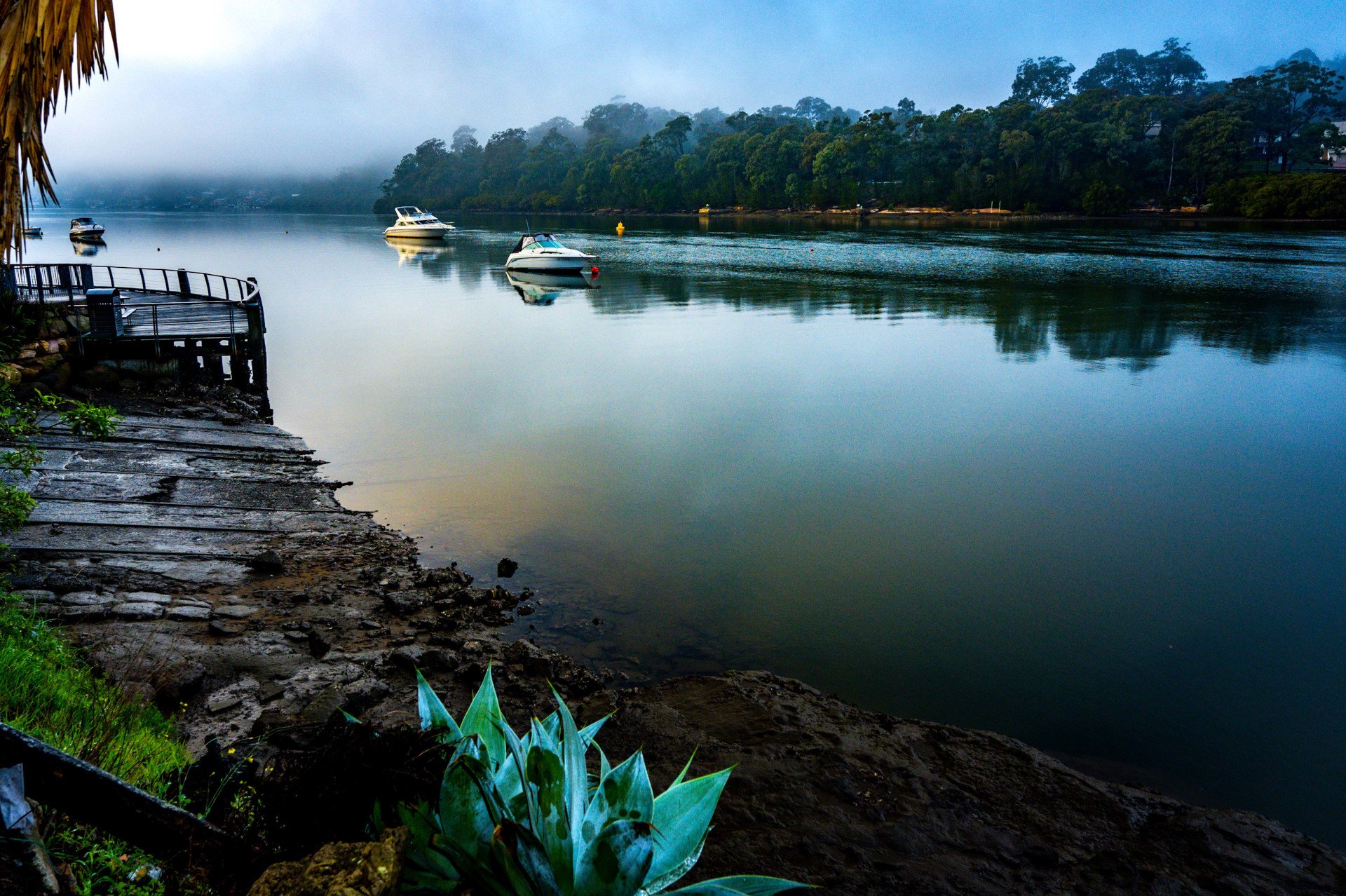 Evatt Park to Lugarno Ferry