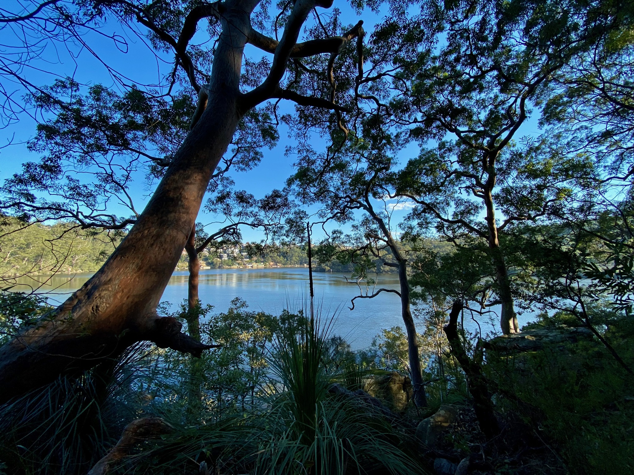 Lugarno School to Chivers Hill Shops